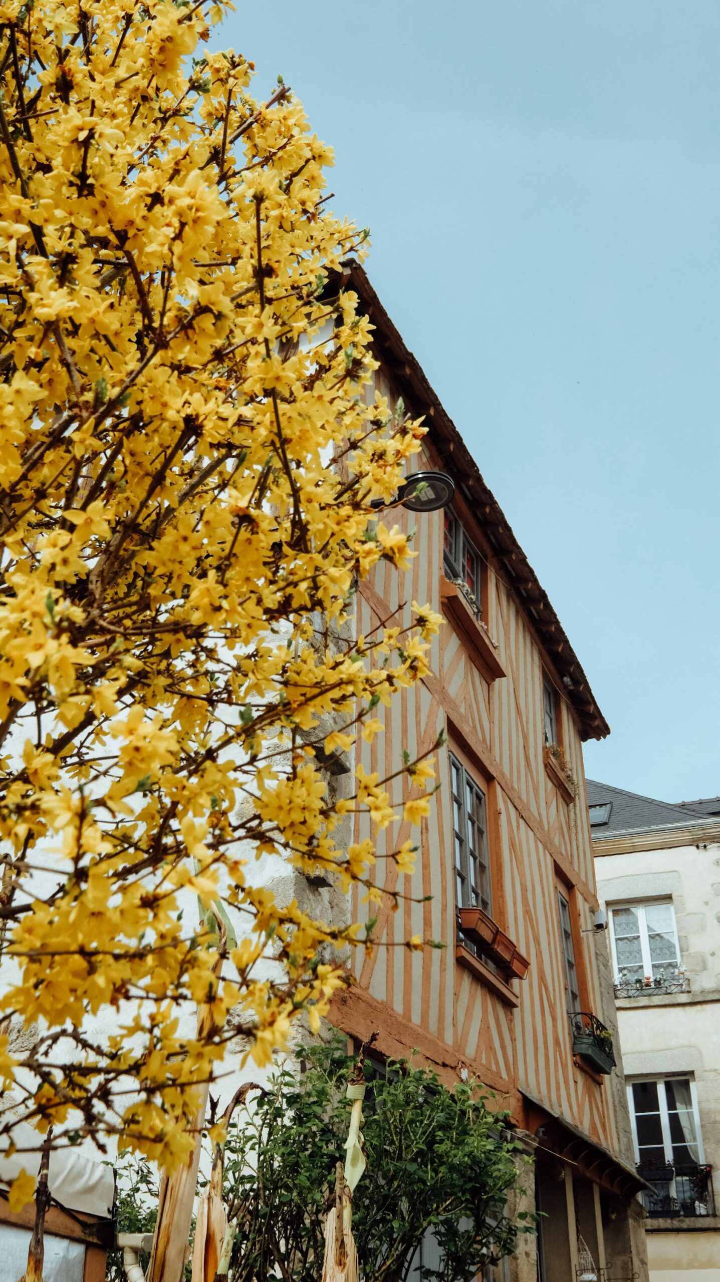 tour saint Antoine ville alençon 