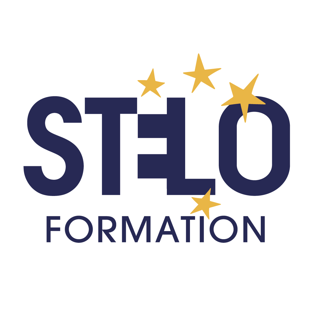 logo stelo formation annonceur