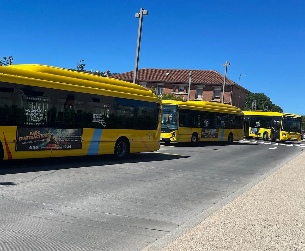 Image publicité courte conservation : Photo affichage latéral gauche de bus, flanc gauche de bus - Parc de Marseillan - Sète (34) transporteur AGGLOPÔLE - annonceur de Rue Media
